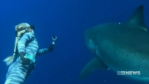 Kayleigh Burns dijo que la gente tiene una idea equivocada acerca de los tiburones, después de conocer al gran blanco por primera vez.