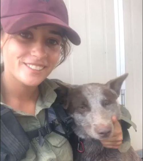Una joven mujer de Nueva Gales del Sur se ha reunido con su perro de ganado 'mejor amigo' en la zona rural de Australia Occidental después de una ardua búsqueda de cinco días.